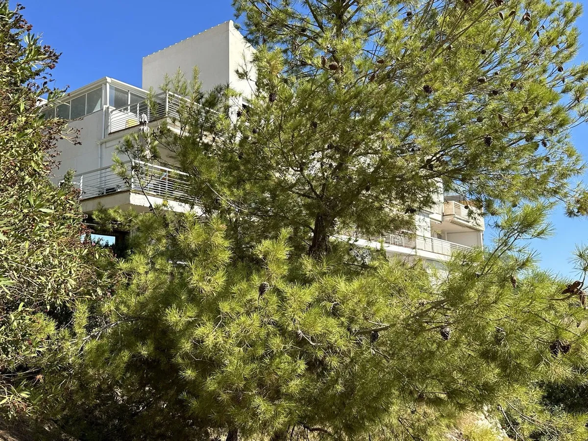 48c19543-3429-4461-b610-3a5c6e1a48db