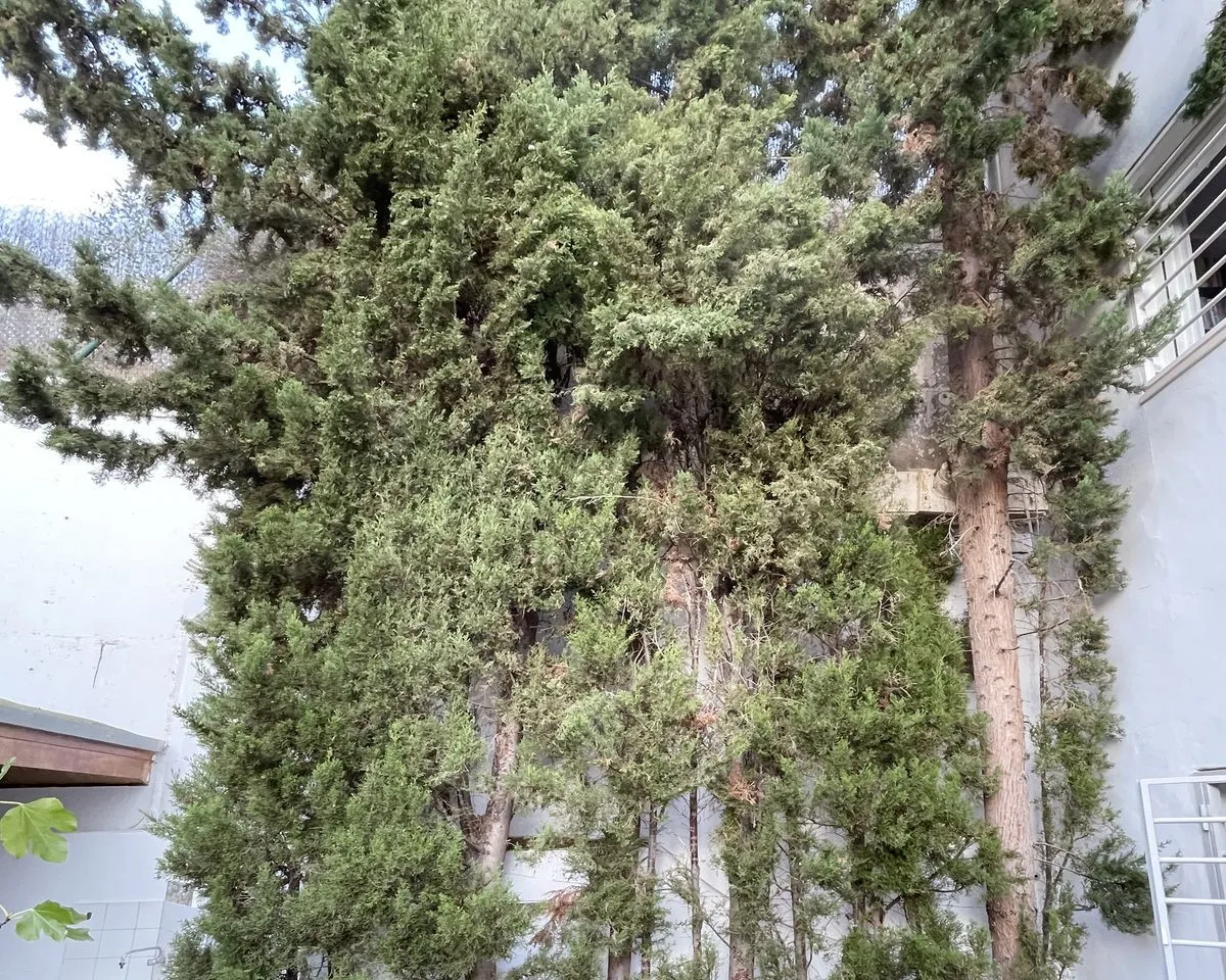 d1d66271-252c-41c7-8e0c-957c155fc657