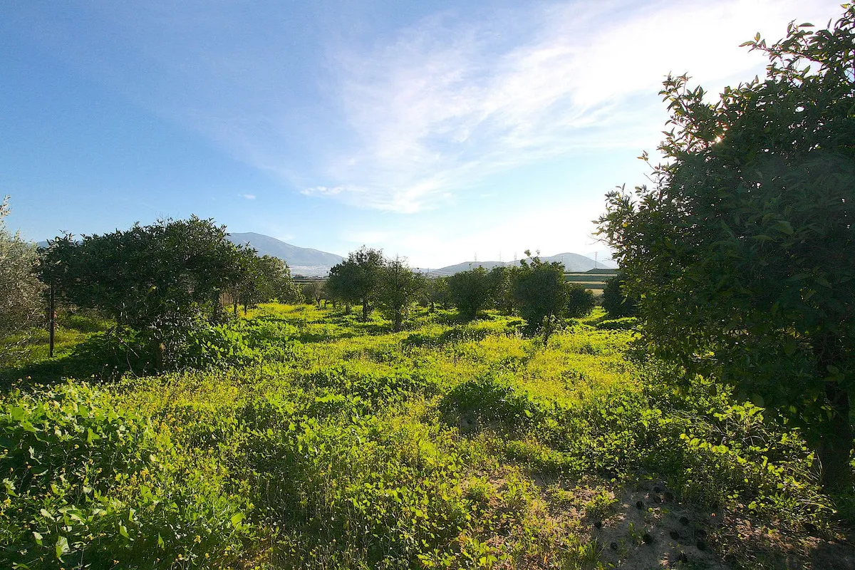 063a6955-aa6c-4d5c-b61b-dc2867a64d81