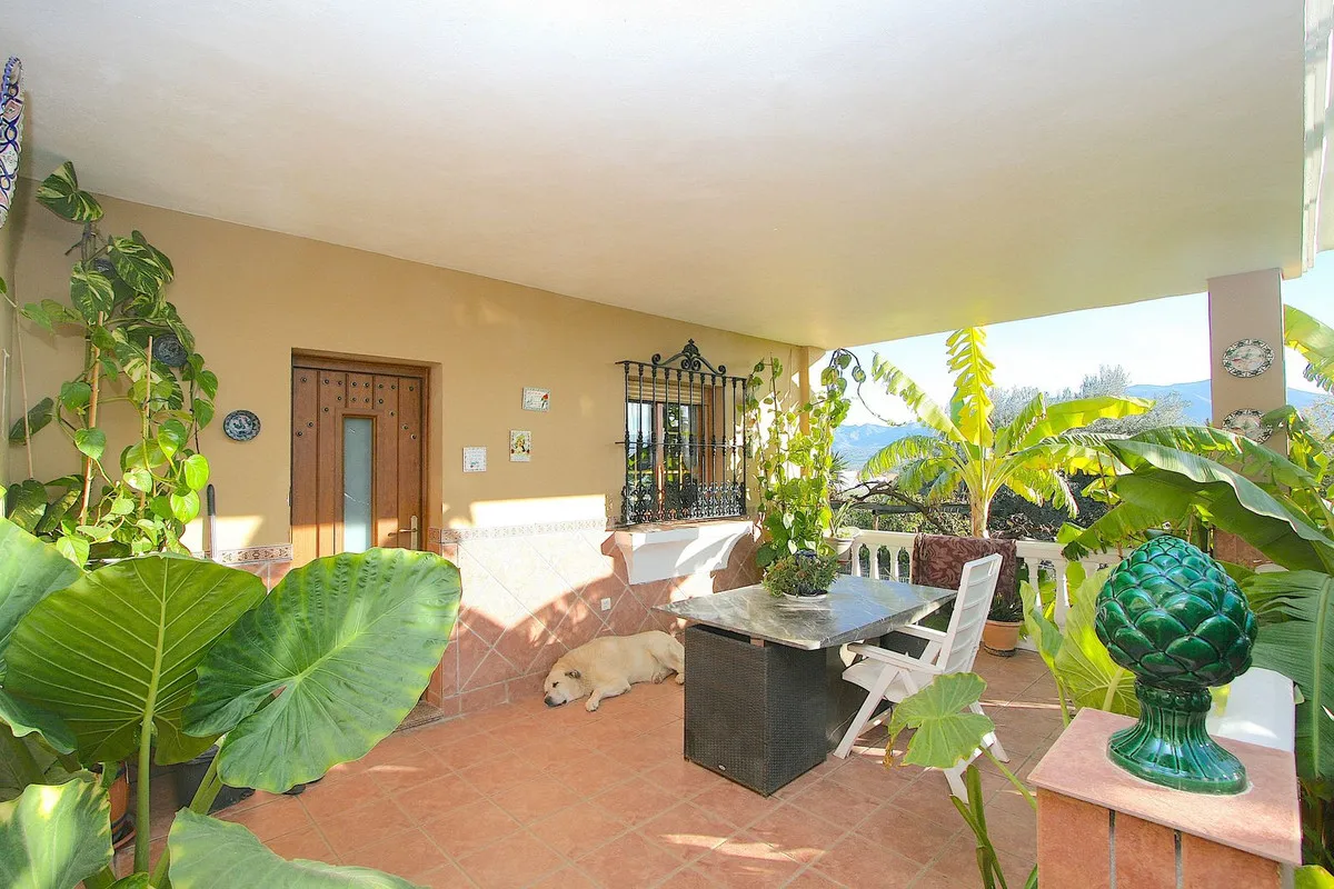 c61d13bf-74e8-4ea8-9268-5969ee1580e6