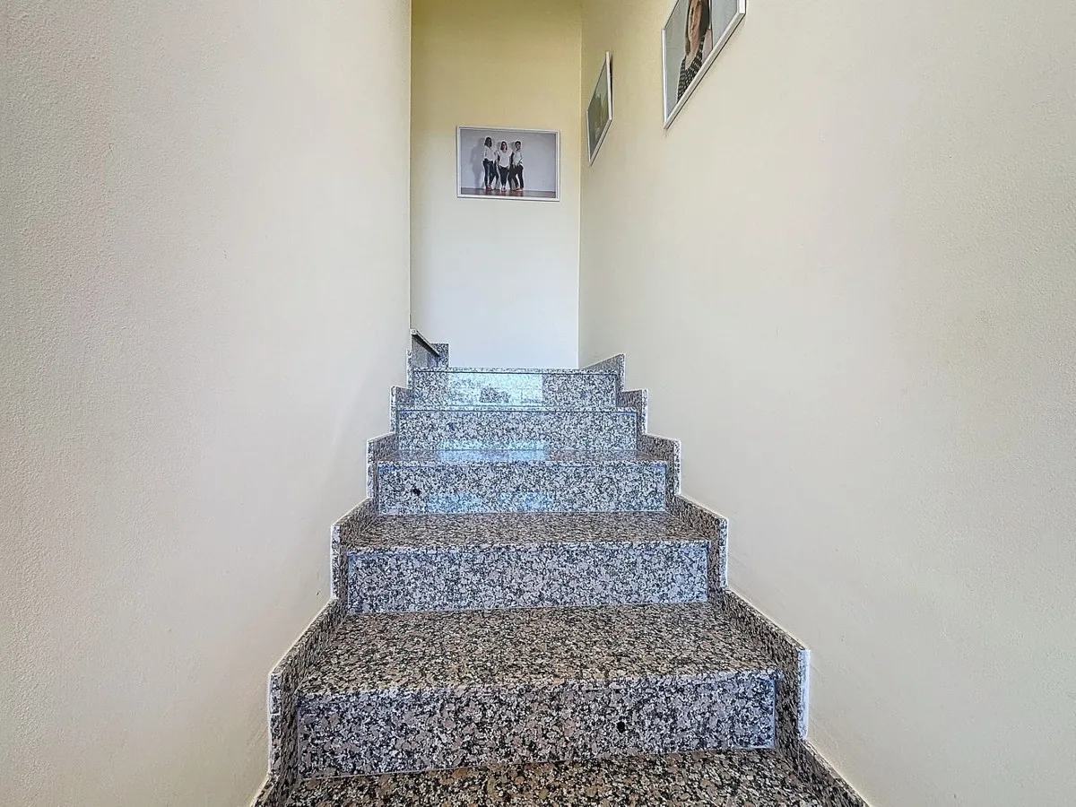 39c8c5dd-b521-41aa-8e0d-e4ca8b44eaf5