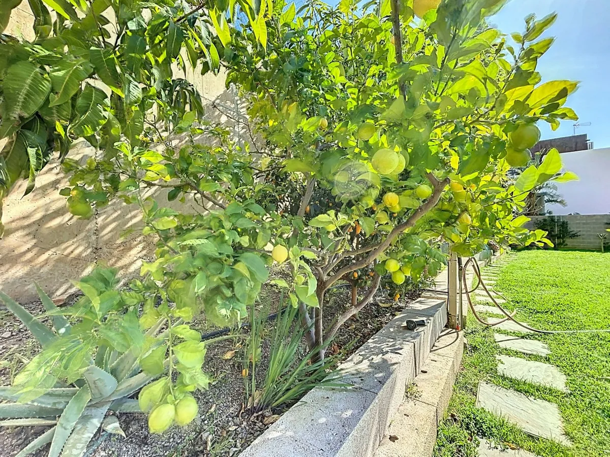 8a17dd9d-3ecc-4cb6-9c2e-c41d65985ee6