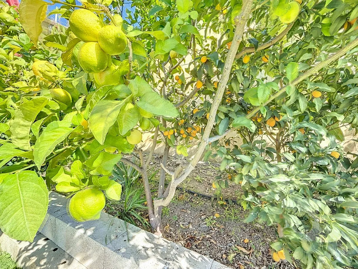 a9934b65-537a-4b93-9ad2-d82152352f0f