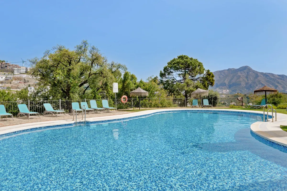 e1319921-070a-48fe-b676-a8285ba52948