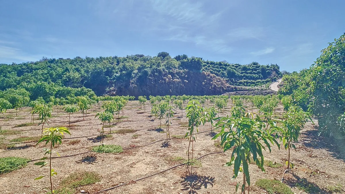 06f804ee-0dad-4176-b43d-44a52d54a0f2