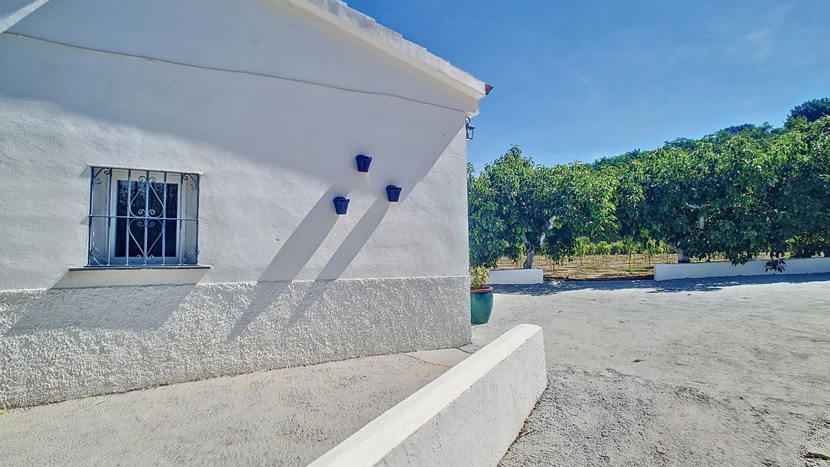 133cba86-0ada-406e-b21f-913e291c95eb