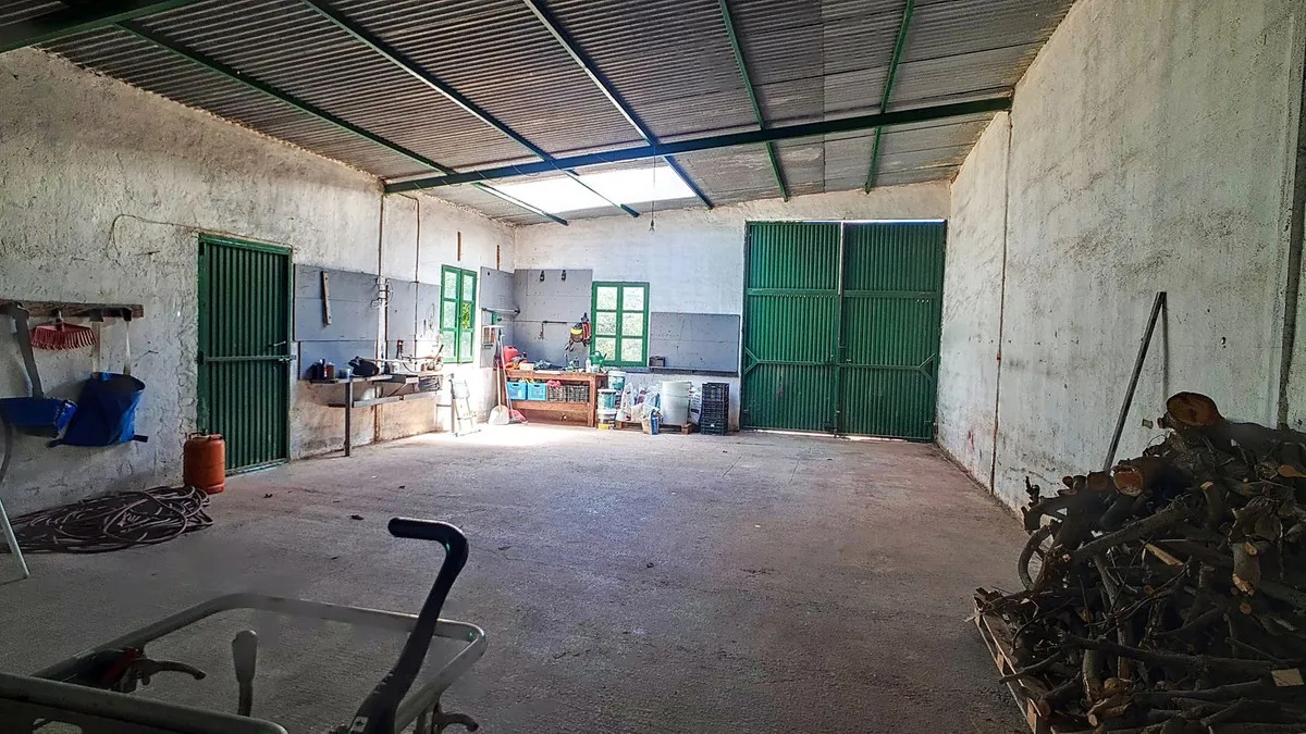 2051829a-f79a-42bf-ba89-954f77c968b7