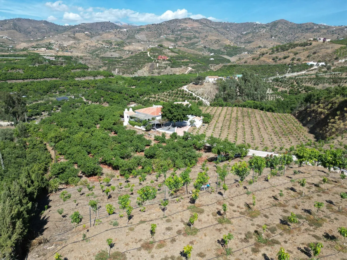 267cffe8-6e9a-40ea-93f9-4e1cf2155a05