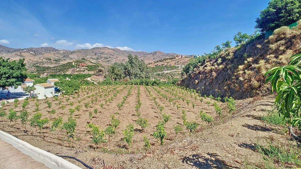 29835afb-b181-4395-b164-884ba2a2c0ef