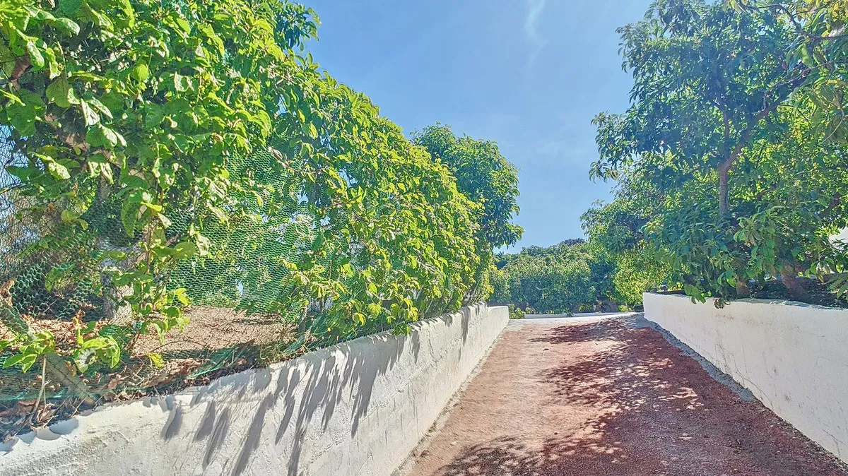 2ba67a8a-4a30-4231-ac4b-f595540eb4b2