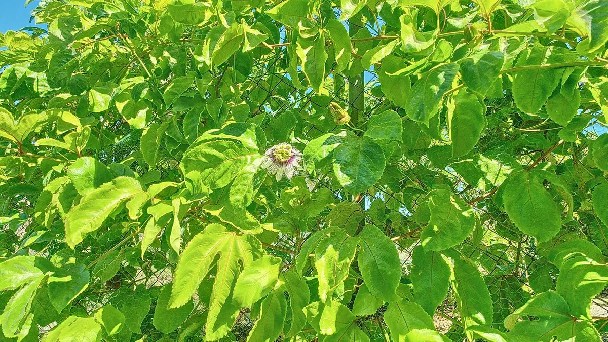 353d57d8-4f8b-41d6-b9f0-3c882686b066