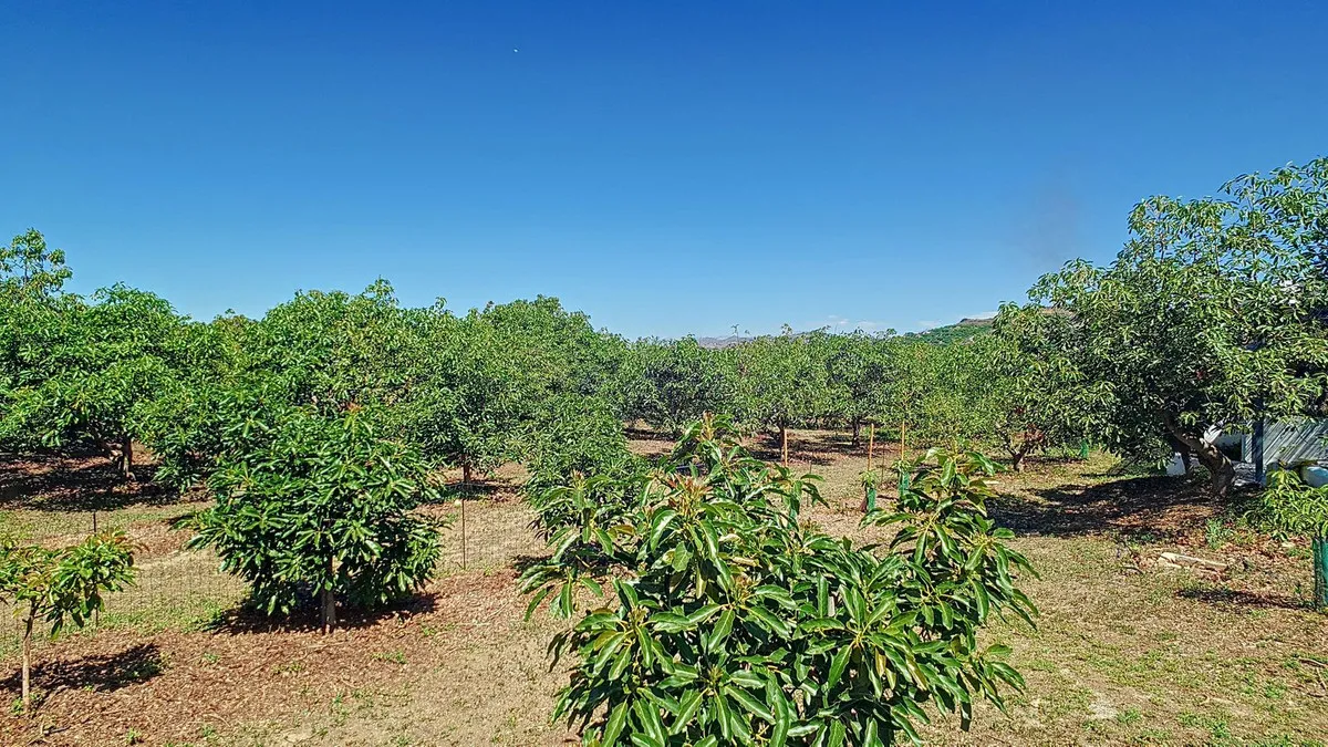 3bcfaf8c-471e-4575-a12e-c7cbdf434cb7