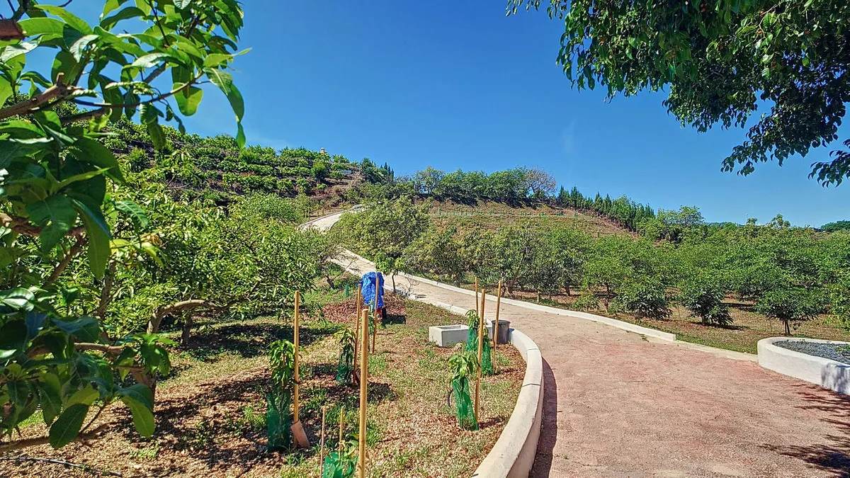 3bdc2f0e-8760-45d4-8986-094f79cfd58d