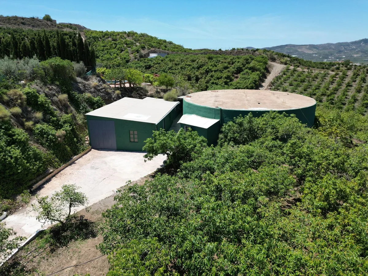 405dcb5e-92aa-4bd9-82d1-d93ad422a7de