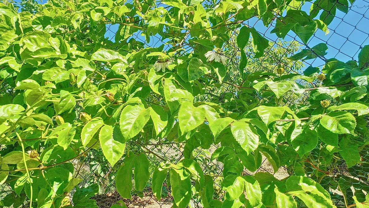 42ab5a3a-2fa0-4a1d-89ed-3ea137bb970c