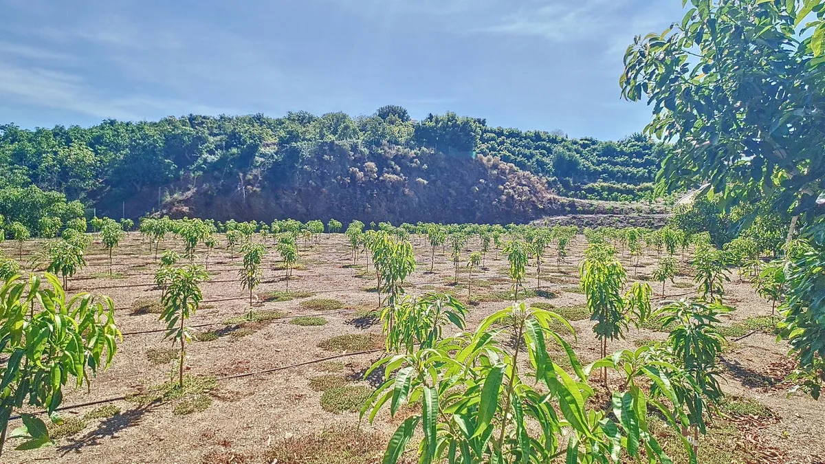 432a57a4-d0bd-40b4-ad48-20c5b2f62b87