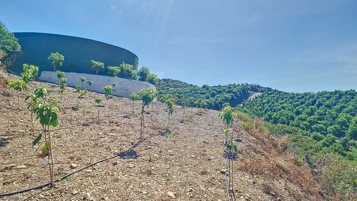 4414bbbd-5e19-4043-98c8-55bece0bedce