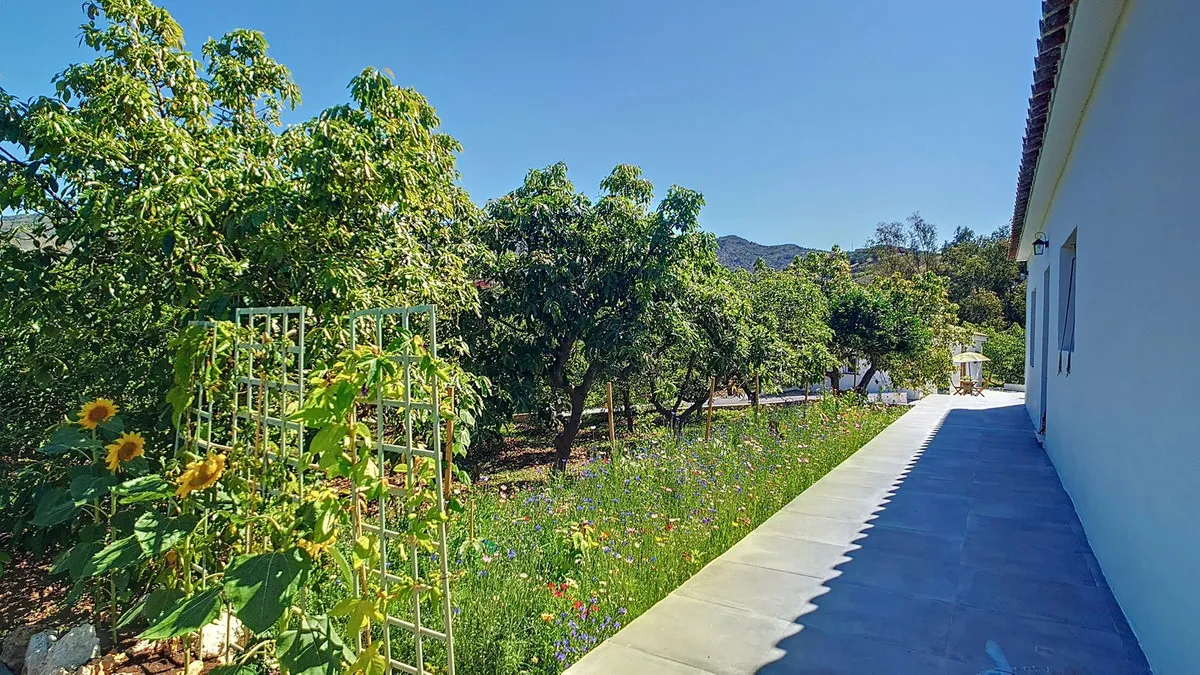 717b2311-7fbb-4cfc-96e1-c5f9aabc7215