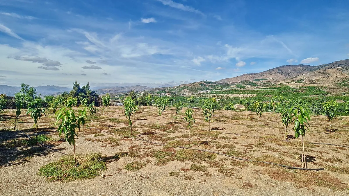 7528c89e-85bc-4d20-a4ba-fd0a5bb9c990