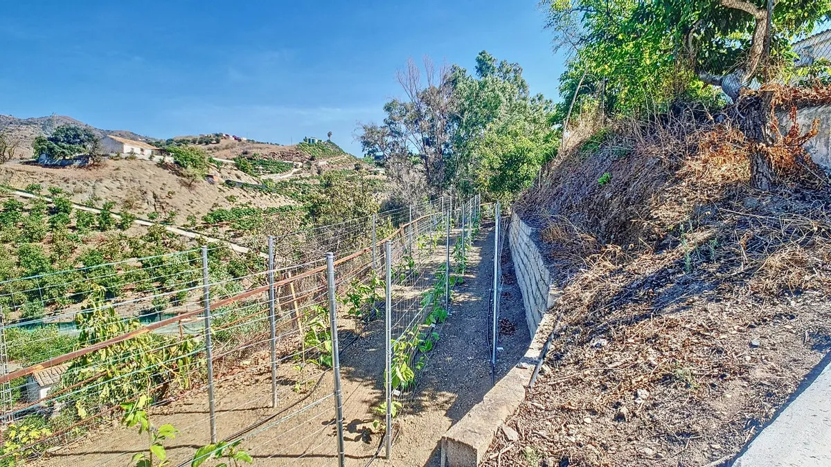 76f46eb2-dd38-494b-a065-3cb18ca99617