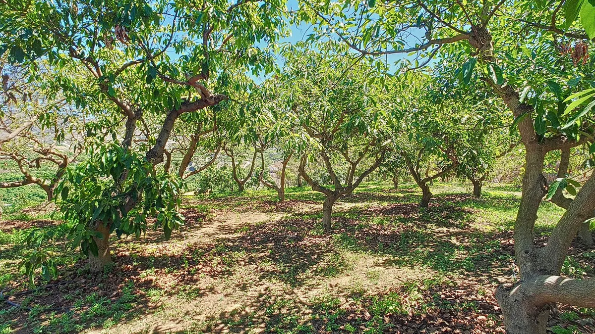 7863338f-a7bb-4f92-b6fd-a910976928c3