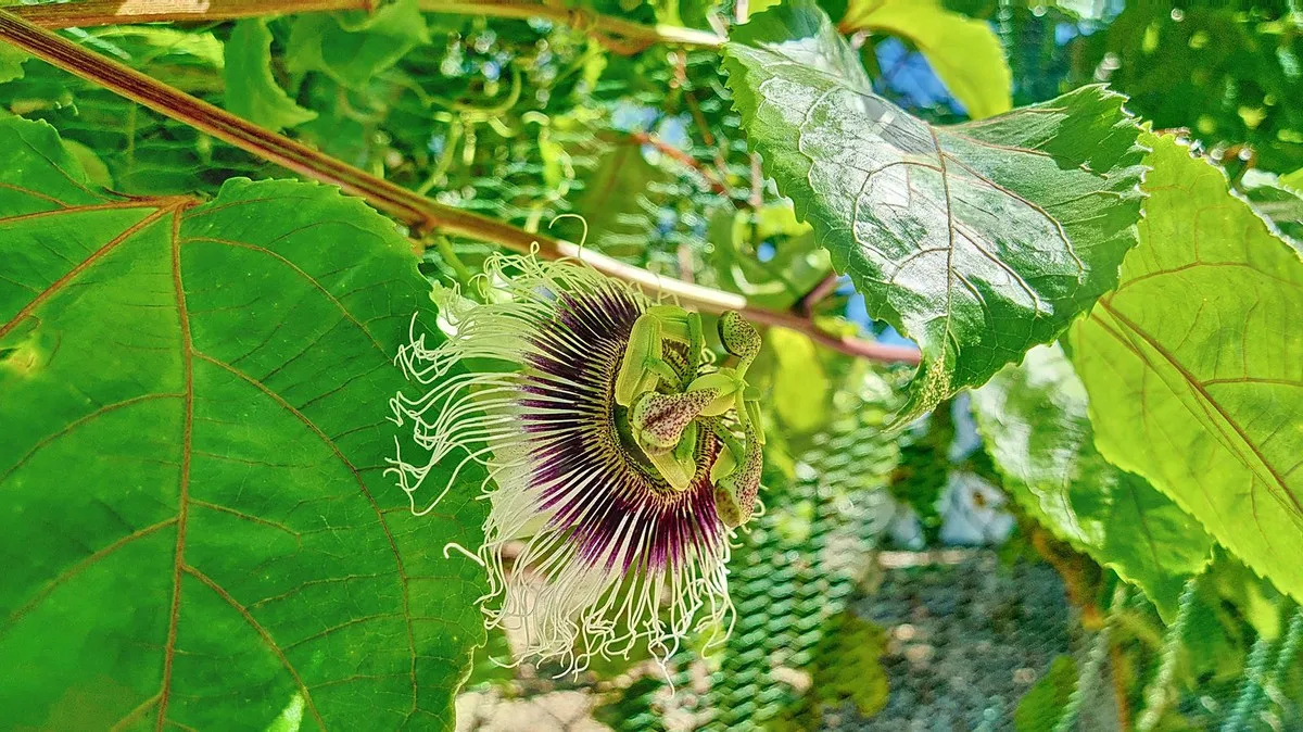 79a4a00d-00e2-49a1-8b95-912ec397421c