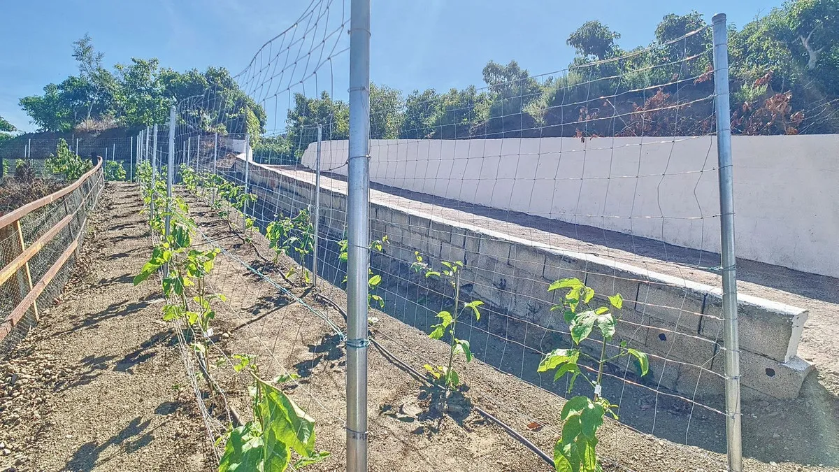 7b61aa8b-da54-44b1-8da6-47e98a8d0d52