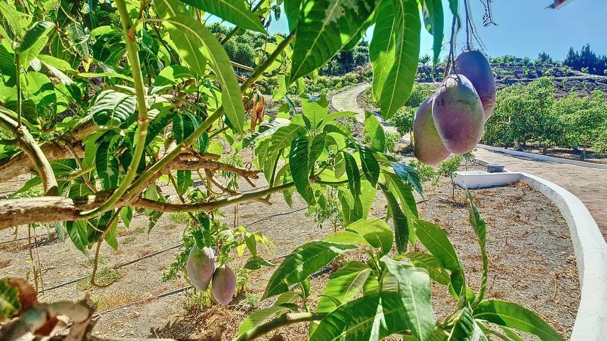 7bdbd80c-d78c-453a-a40a-e14468355db6