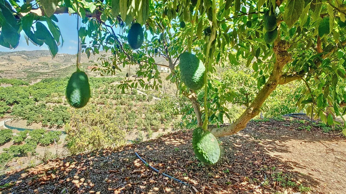 842ce828-a740-4064-8d7b-df52b5cda74a