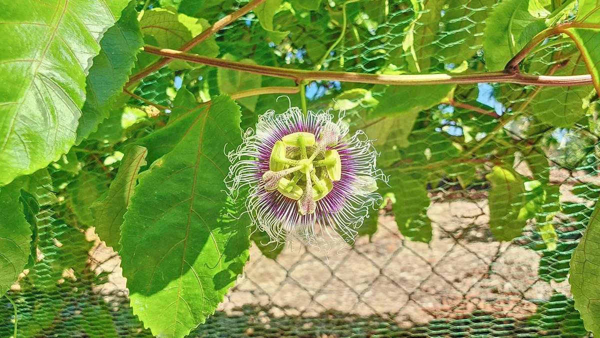 8b254a79-bab6-4414-ae69-b76bfc861f2e