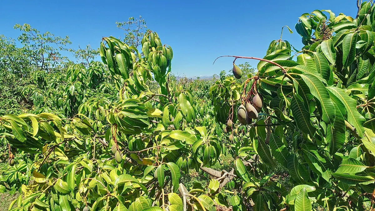 9ccd74cd-bf95-4234-9f92-41db5969b0c1