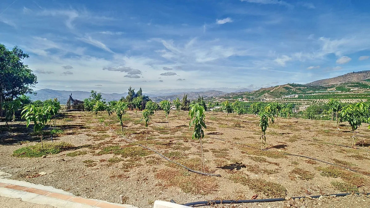 b25c572d-5bb8-4c25-a986-0ba36604caed