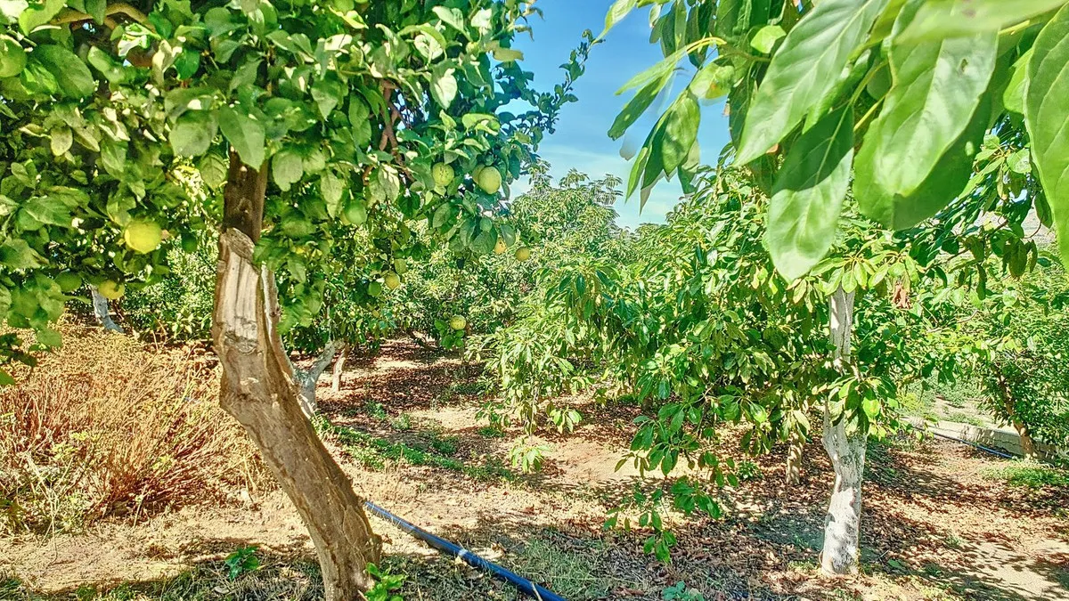 c3765273-3378-4c3d-a9ab-217c96fdb172