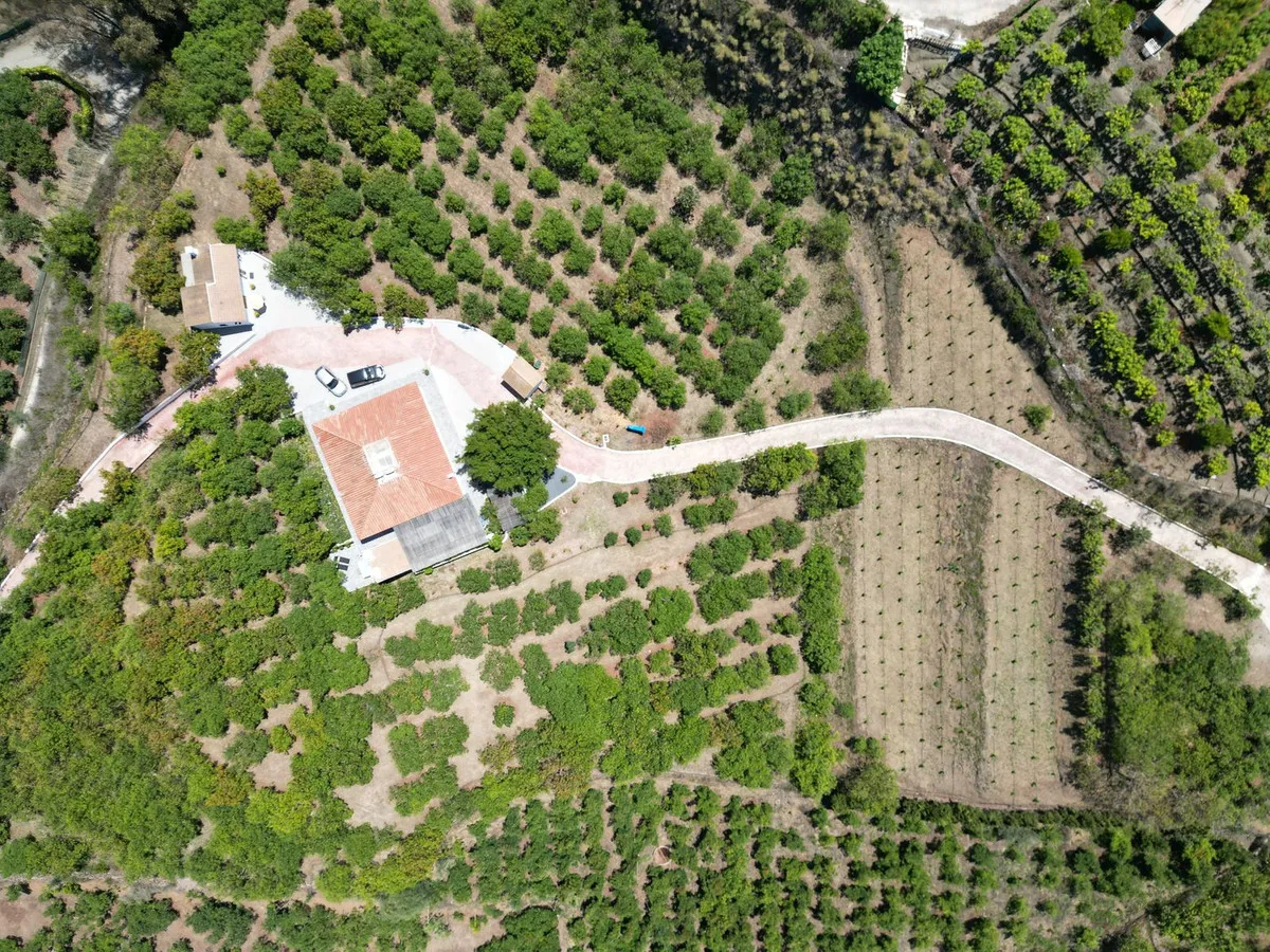 c39c4059-78d1-49a1-9663-cb8e22dc4c9c