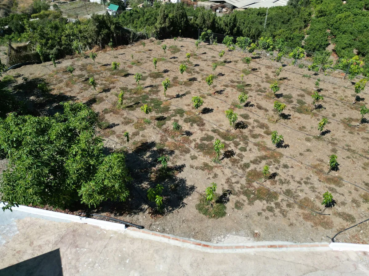 c684ece0-9752-4051-aaac-e48394c57367