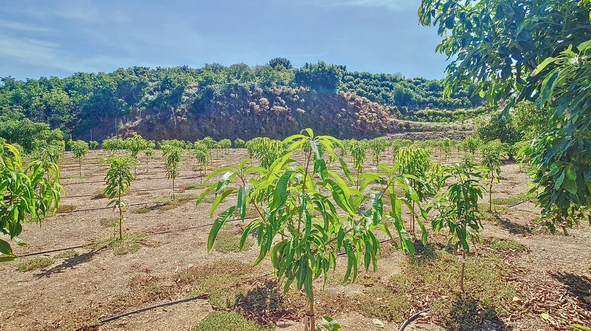 dcc104dc-5c71-4e25-8362-e2450db7dc9d