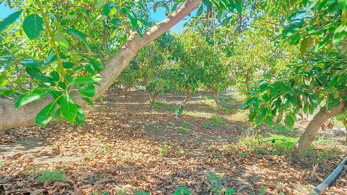 e0cc5cbb-a43c-4f74-910b-292ac9f6f823