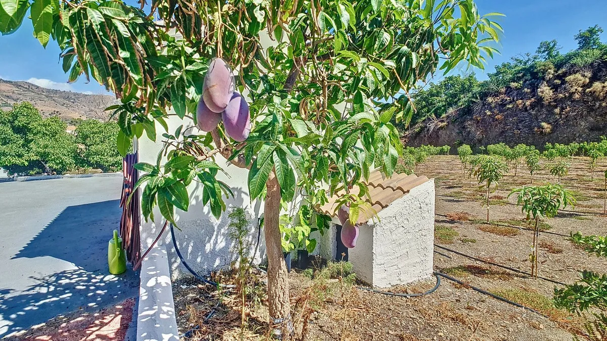 e6332415-0fe8-49a0-8601-c231fc92f703