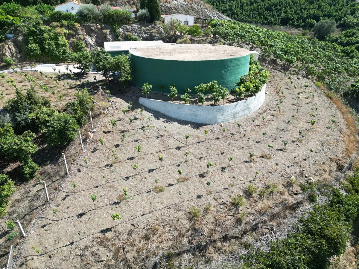 f4d1e9ec-3492-40bd-8aa5-253e0aa64685