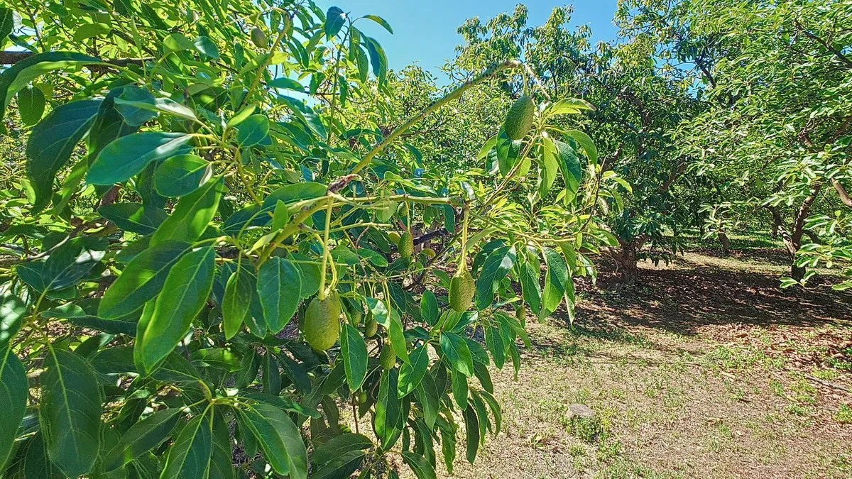 f9658a48-466e-4338-903d-a3d2b4a13c3e