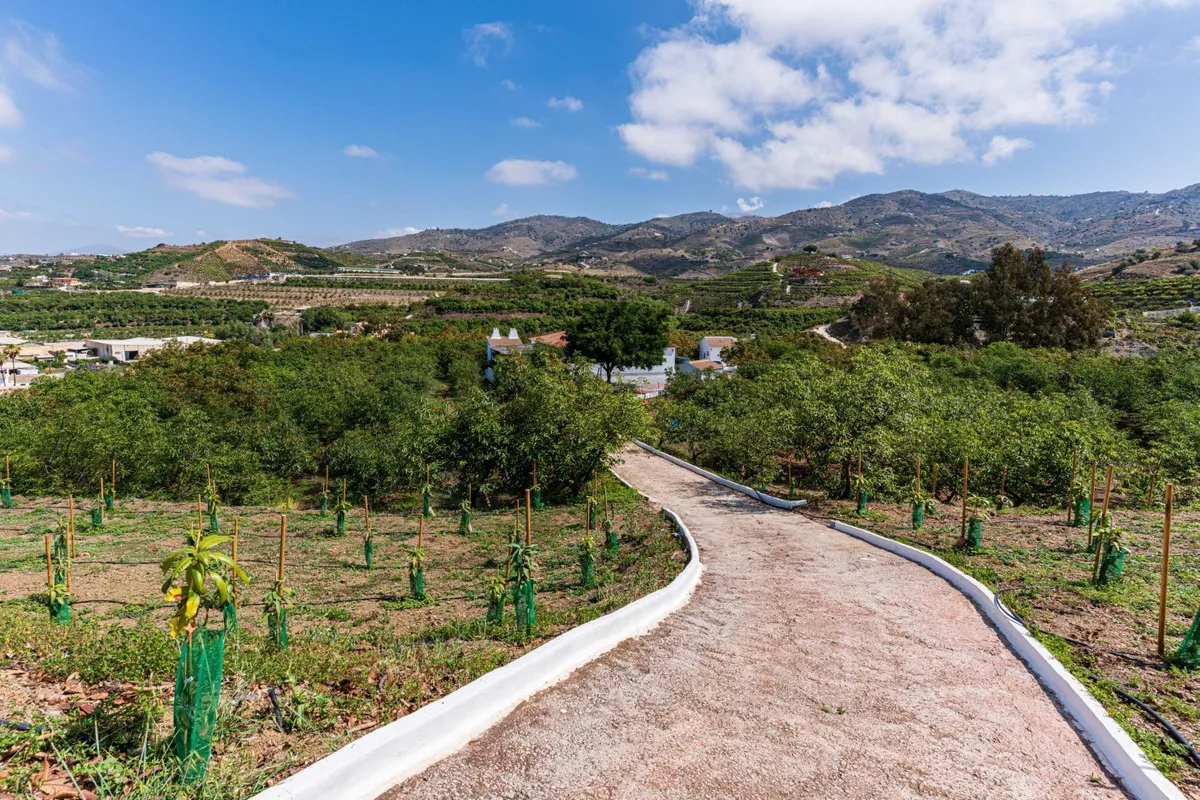 04fc72ba-a7e9-4475-920e-994d85d7e5a1