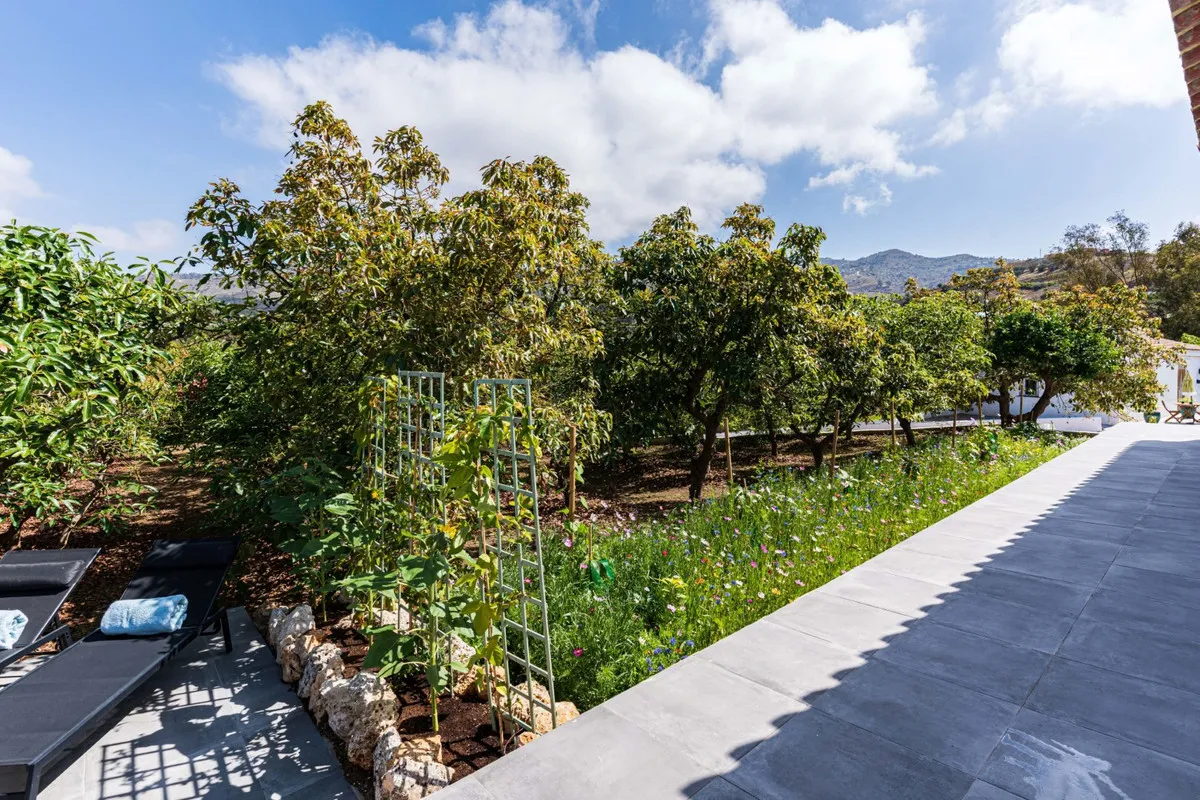 20362b9a-4085-49d0-88a5-f84144a6c978