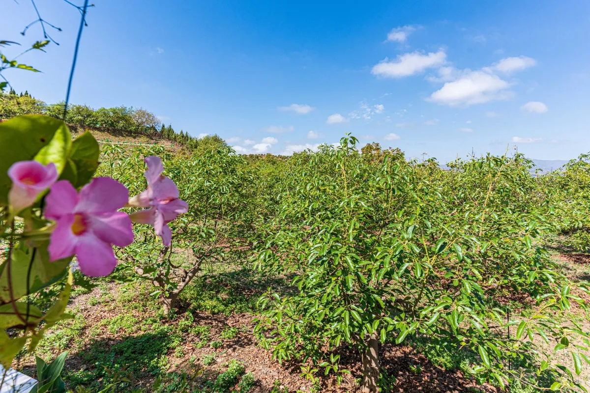 27fa553a-49e1-45fe-a376-9c58d4110036