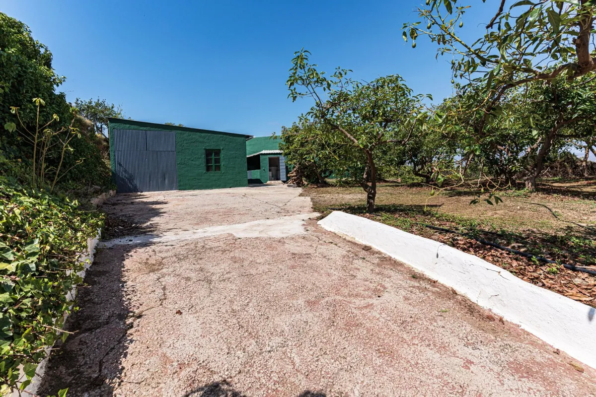 a4339998-aca5-4f93-87a5-38155e886a9c