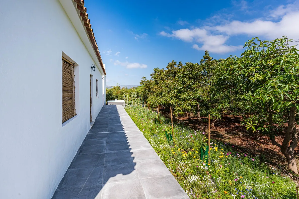 b2ee1f3c-b325-4c0f-9d62-1730298e959a