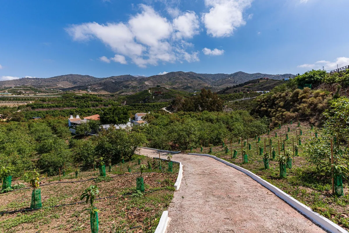 bdbaa575-413e-4100-80ef-2794a982d929