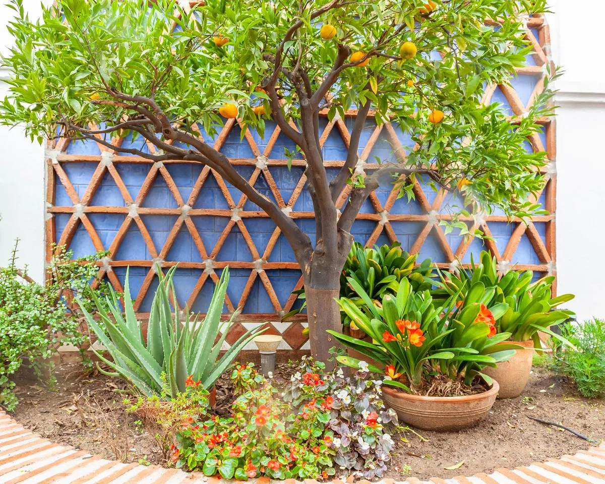 6dcb114e-b965-4e5b-ab50-86be62ab0e11