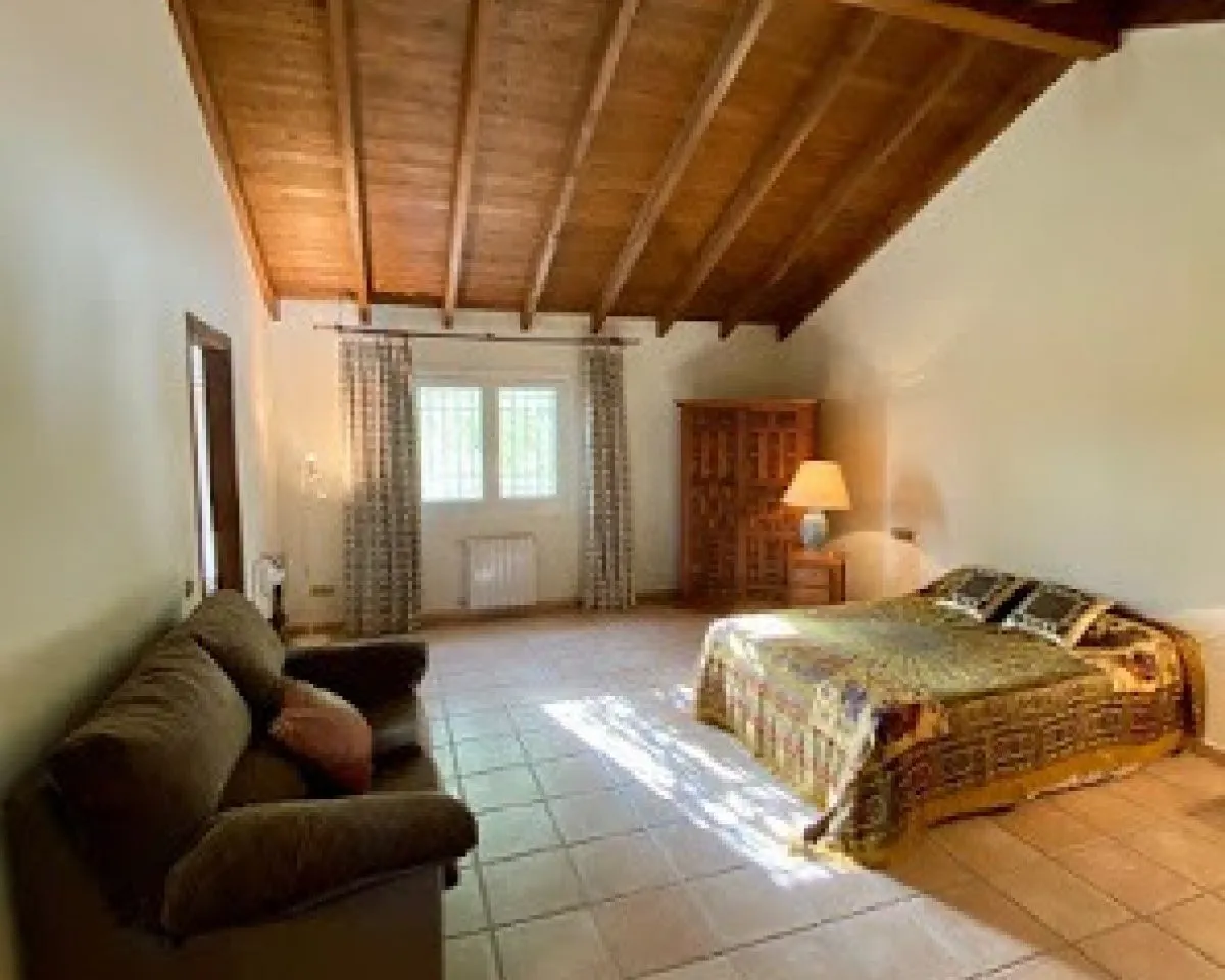 84361ca2-1fc4-4fce-955e-2ac939ed8362