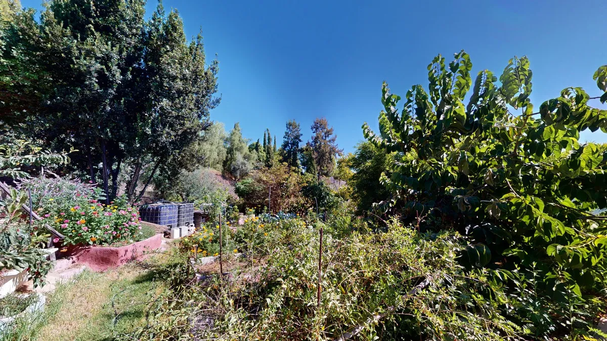 3b025650-85e7-4ee5-9c5c-83b9ddf3e672