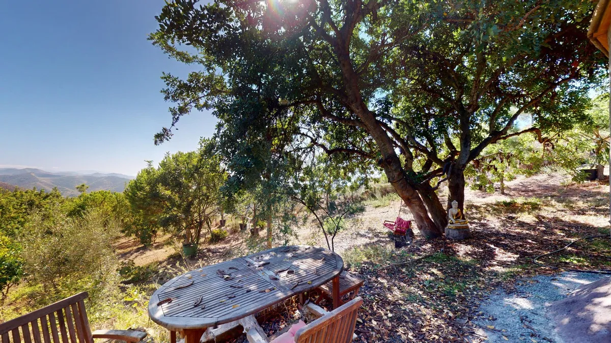 45ec19e3-e98d-45a4-9447-44d6cb206f22